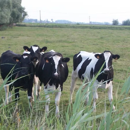 Victoria Fields Holiday home Diksmuide